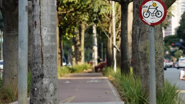 Piétons Traversant Voie Cyclable Centre Une Rue Animée Une Grande — Video