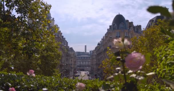 Maestosa Strada Del Quartiere Nel Centro Parigi Con Fiori Rosa — Video Stock