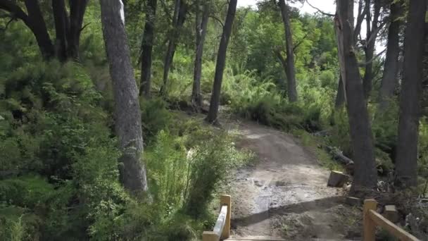 Puente Que Lleva Bosque Andino Patagonico Argentina — Vídeo de stock