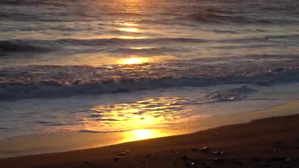 Zachód Słońca Odbija Się Fal Oceanicznych Piaszczystej Plaży Oregonie Zamyka — Wideo stockowe