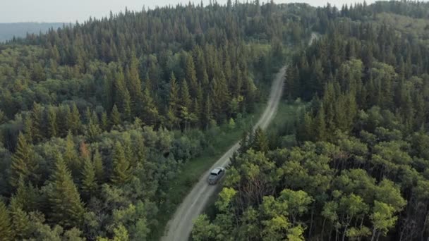 カナダのサスカチュワン州の近くにある針葉樹林の峠を通ってトラックの運転をピックアップします — ストック動画