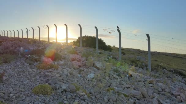 Zoom Arrière Lent Montrant Lever Soleil Derrière Clôture Avec Fil — Video