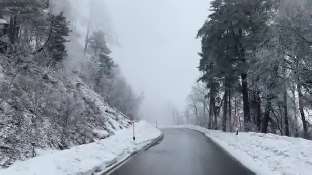 骑着马在山上的森林路上 现在是冬天 一切都被雪覆盖着 森林被雪覆盖得雪白 雾蒙蒙的 在雪地里开车 — 图库视频影像