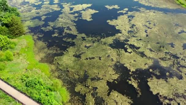 Veduta Aerea Del Parco Statale Nel Missouri — Video Stock