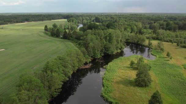 Aereo Che Sorvola Foresta Fiume Emn Svezia Estate — Video Stock