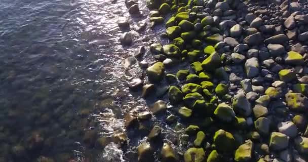 Mossy Rocks Shoreline Beach Madalena Mar Madeira Island Portugal — стокове відео