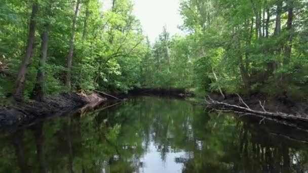 Drone Che Vola Vicino Alla Superficie Fiume Emn Svezia — Video Stock