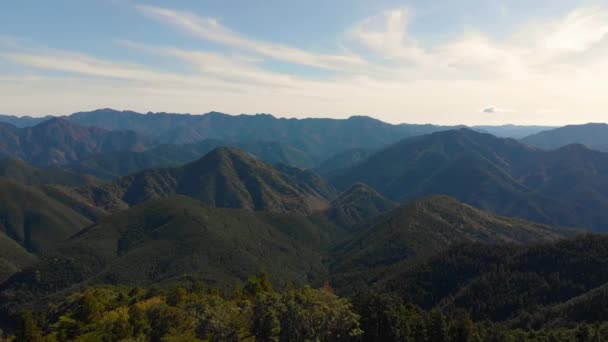 日本Kii半岛森林山景上空的无人驾驶飞机 — 图库视频影像