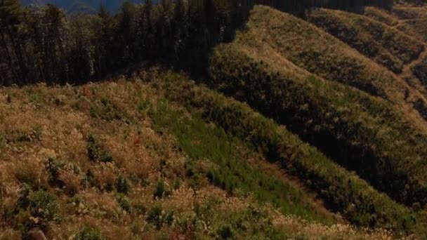 Aerial Lutning Avslöjar Vidsträckt Skogbevuxen Bergslandskap Japan — Stockvideo