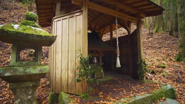 Небольшой Статический Храм Кумано Кодо Япония — стоковое видео