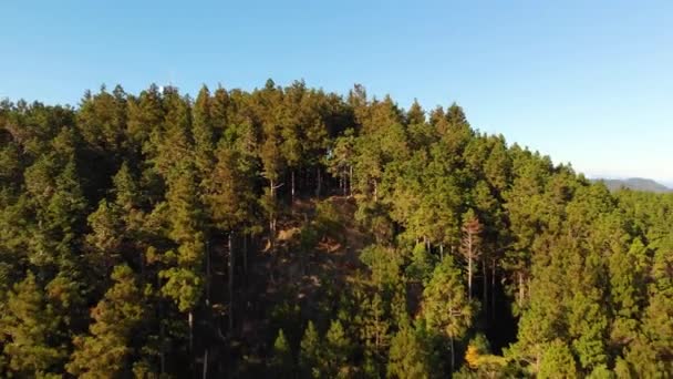 Luftaufnahme Rückzug Bewaldete Berglandschaft Kumano Kodo Japan — Stockvideo