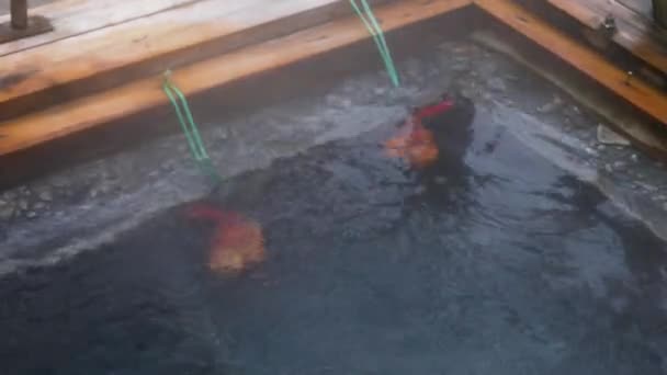 Focus Pull Koken Eieren Natuurlijke Warmwaterbron Bad Yunomine Onsen Japan — Stockvideo