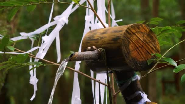 Primer Plano Purificación Del Agua Del Santuario Kumano Kodo Japón — Vídeo de stock