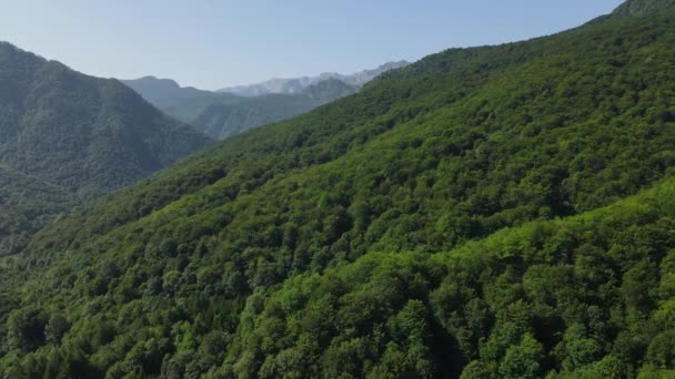 Nationaal Park Sutjeska Bosnië Herzegovina Luchtfoto Van Oerwoud Groen Landschap — Stockvideo