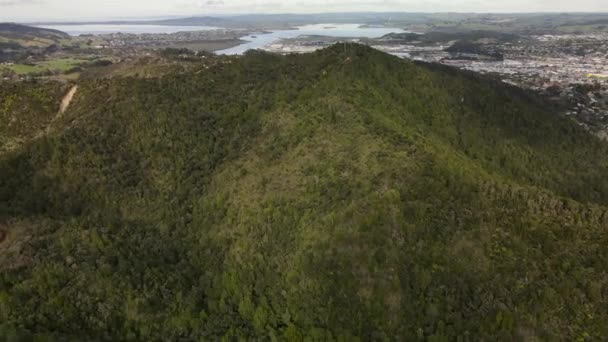 Bird Eye View Lush Forest Mount Parihaka Whangarei Cityscape North — Vídeos de Stock