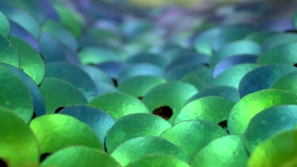 Macro Uitzicht Een Vallei Van Blauwe Teal Groene Pailletten Licht — Stockvideo