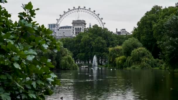 Ducks Zwemmen Het Meer Van James Park Londen Met London — Stockvideo