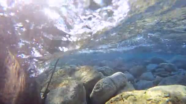 Slow Video Met Camera Onderdompelen Het Water — Stockvideo