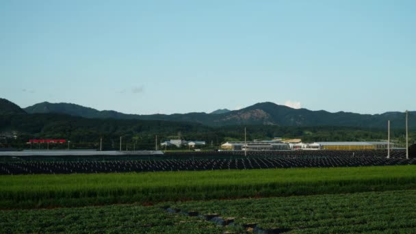 Панорама Женьшеня Рисовых Полей Гумсане Южная Корея Солнечный День Гиперлапс — стоковое видео