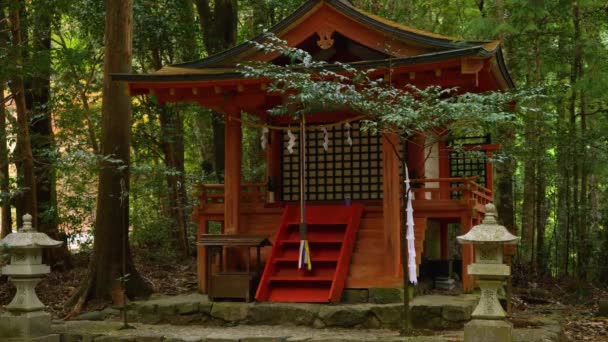 Statisch Schrein Unter Bäumen Kumano Kodo Japan — Stockvideo