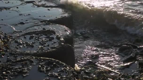 Vicino Rallentatore Onde Oceaniche Che Schiantano Contro Barriera Della Spiaggia — Video Stock