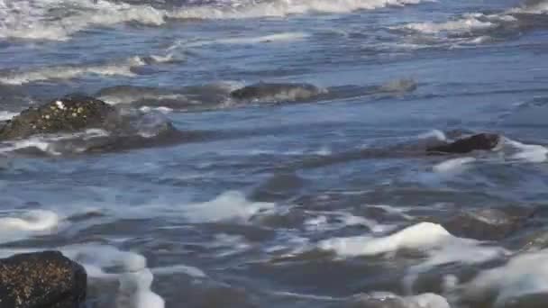 海浪在岩石海滩上的特写 — 图库视频影像