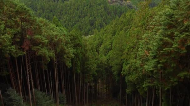 Aerial Drönare Lutning Upp Skogbevuxen Bergssluttning Japan — Stockvideo