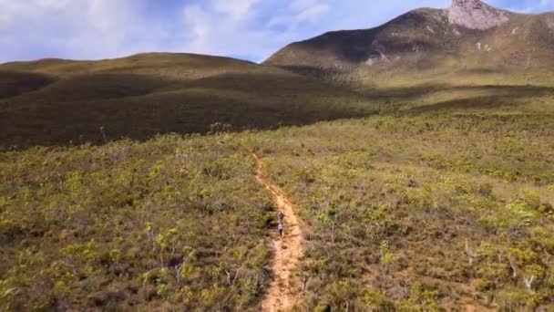 Aerial Dolly Gli Escursionisti Seguono Sentiero Attraverso Paesaggio Cespuglio Australiano — Video Stock