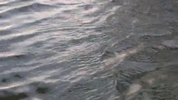 Primo Piano Delle Onde Acqua Movimento — Video Stock