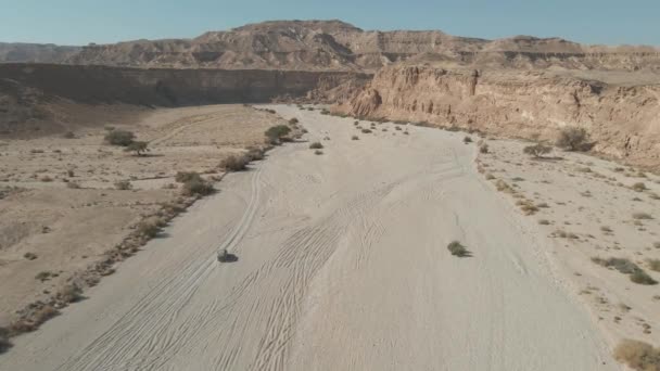 Ένα Jeep Rides Ένα Τεράστιο Ξηρό Φαράγγι Του Ποταμού Έρημο — Αρχείο Βίντεο