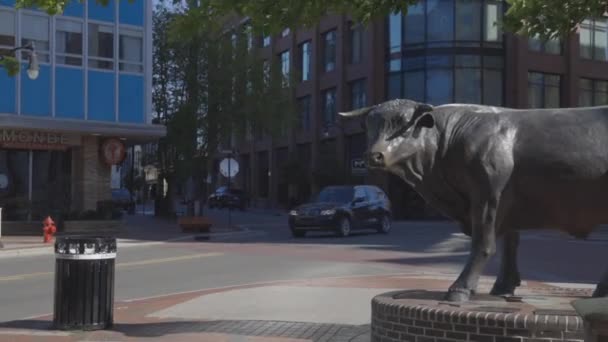 Major Bronze Bull Sculpture Downtown Durham North Carolina Medium Shot — Stock Video