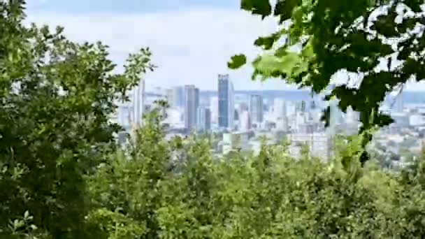 Time Lapse Della Città Londra Attraverso Gli Alberi Punto Vista — Video Stock