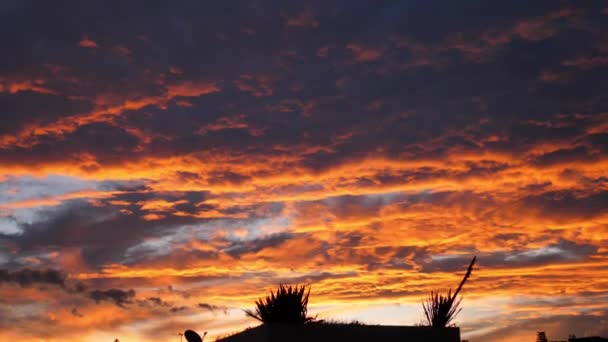 Tempestade Épica Nuvens Tropicais Pôr Sol Uhd Majestic Sunset Landscape — Vídeo de Stock