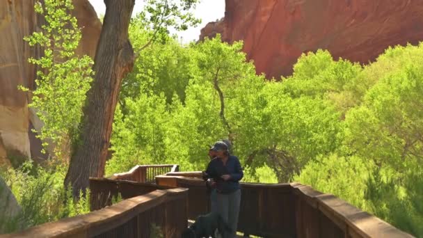 Abd Nin Utah Yakınlarındaki Capitol Resifi Ulusal Parkı Ndaki Fruita — Stok video