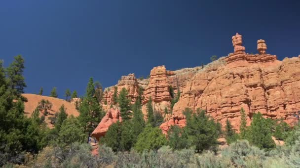 Red Canyon Landscape Utah Usa Panning Shot — Stock video