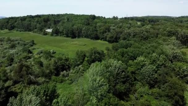 Letecký Pohled Kouzelný Les Stromy Rostoucími Louce Let Přes Zelené — Stock video