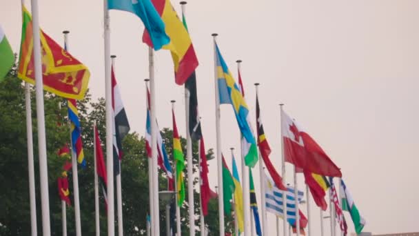 Флаги Стран Мира Флагштоках Развеваются Ветру — стоковое видео