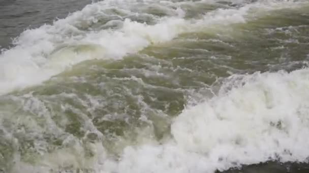 Réveil Tourbillonnant Eau Douce Derrière Bateau Vitesse — Video