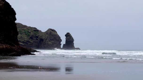 ピハビーチブラックビーチ ニュージーランドのオークランドで灰色の曇りの雨の冬の日に岩の露頭と海の波 アオテアロアで人気のキウイ観光スポット — ストック動画