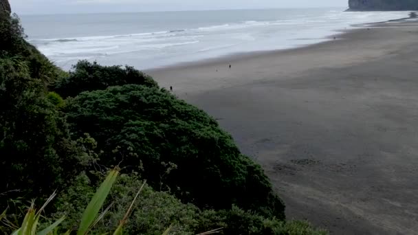 Persone Che Accompagnano Loro Cani Sulla Spiaggia Sabbia Nera Piha — Video Stock