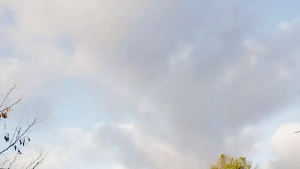 Таймлапс Сонячного Дня Хмарами — стокове відео