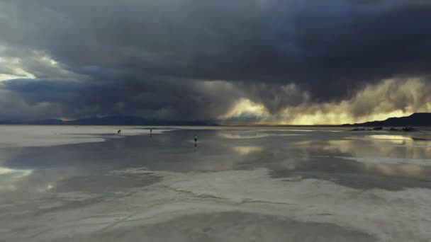 Bonnevilleの素晴らしい風景の中に浅い水の中で実行されている男の空中ビュー ユタ州の塩のフラット米国ストーミー雲とホライゾン反射と — ストック動画