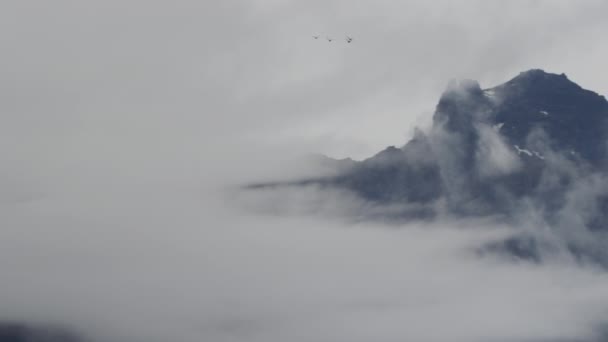 Liten Grupp Sjöfåglar Flyger Över Islands Vulkaniska Landskap Ovanför Molnen — Stockvideo