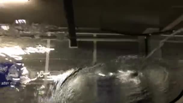 Άνθρωποι Πλένουν Αυτοκίνητο Στο Υπόγειο Πλυντήριο Αυτοκινήτων Ανάλυση — Αρχείο Βίντεο