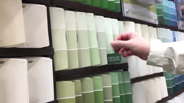 Vrouw Neemt Een Aantal Palet Kleuren Schalen Home Depot Winkel — Stockvideo