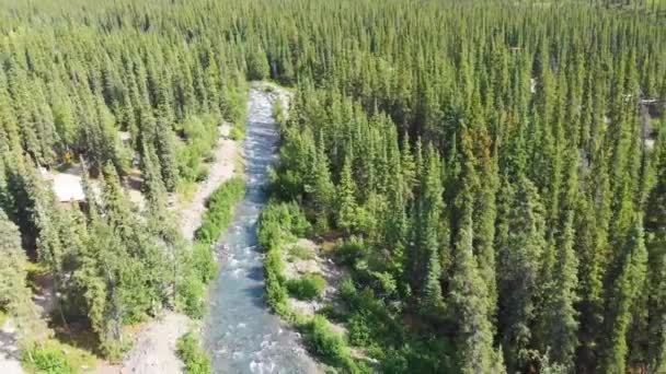 Drone Video Van Beautiful Carlo Creek Buurt Van Denali National — Stockvideo