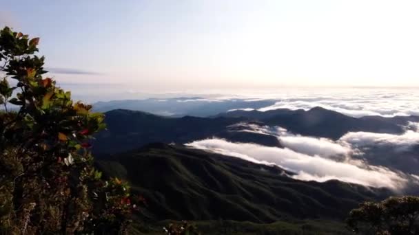 Une Vue Imprenable Sur Paysage Depuis Les Nuages Sommet Mont — Video