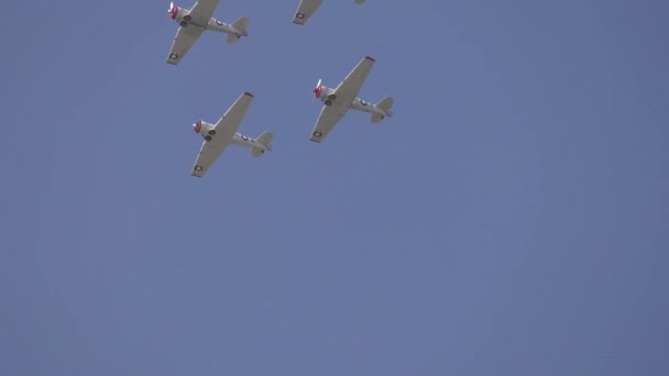 Demostración Vuelo Del Avión Hdn — Vídeo de stock