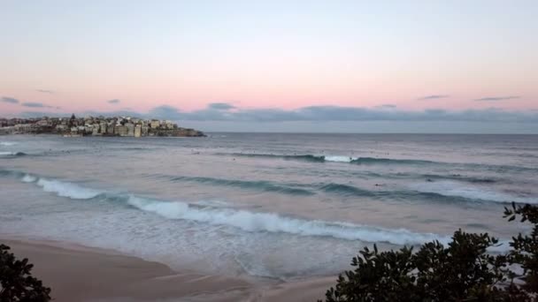 Breaking Waves Shore Surfers Bondi Beach Sunset Sydney Nsw Australia — Vídeo de Stock