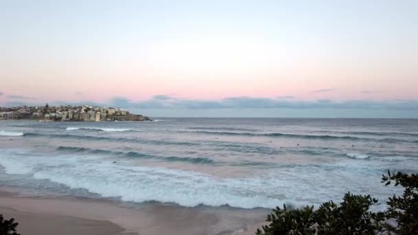 オーストラリアのニューサウスウェールズ州シドニーのボンダイビーチで日没時にサーファーと波をローリング ワイドショット — ストック動画